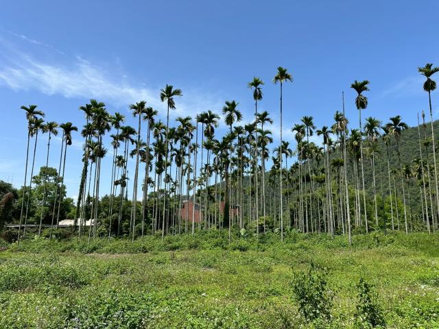 南投農地-2