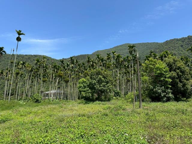 南投農地-3