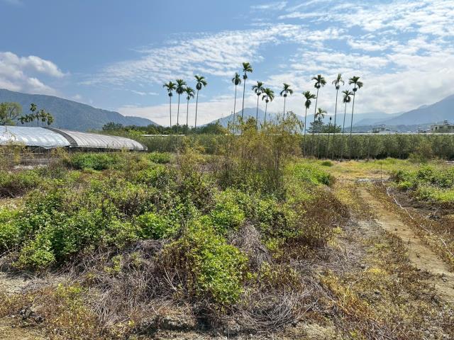 南投農地-1