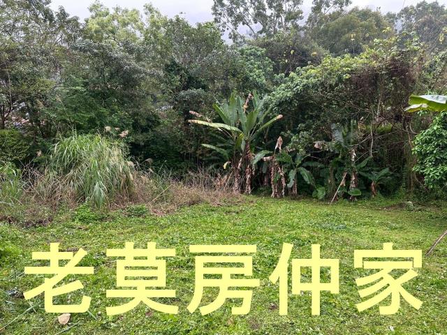 南投建地-1