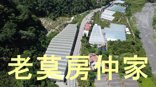 南投仁愛鄉農地-9