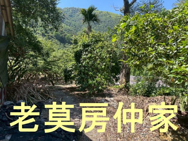 南投仁愛鄉農地-0