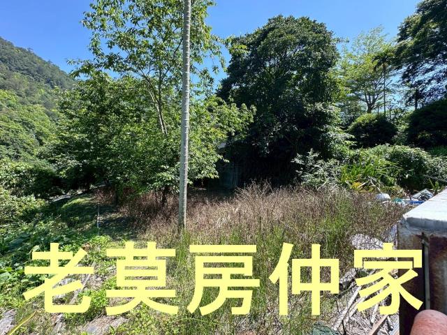 南投仁愛鄉農地-3