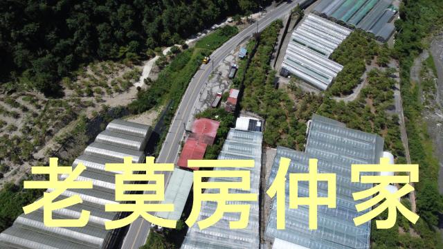 南投仁愛鄉農地-8