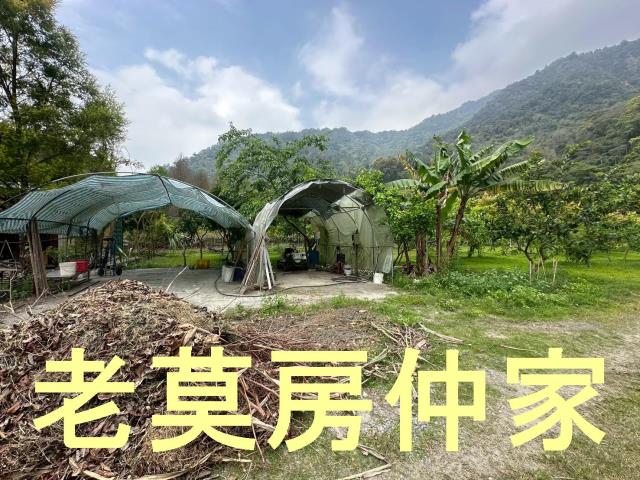 南投水里農地-9