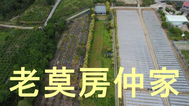 南投水里農地-13
