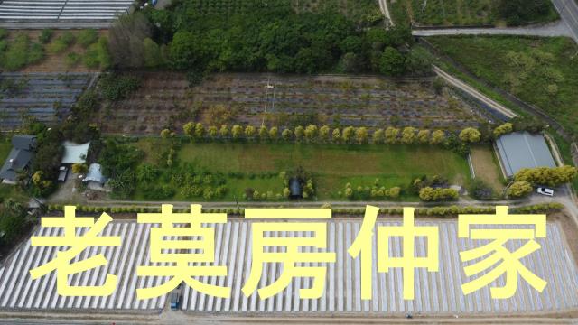 南投水里農地-14