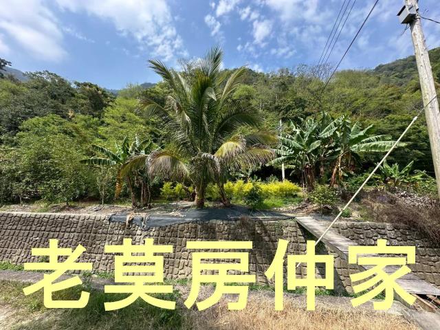 南投水里農地-0