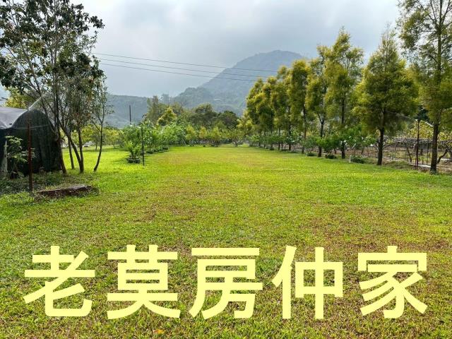 南投水里農地-7