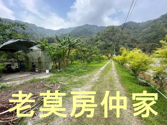 南投水里農地-8