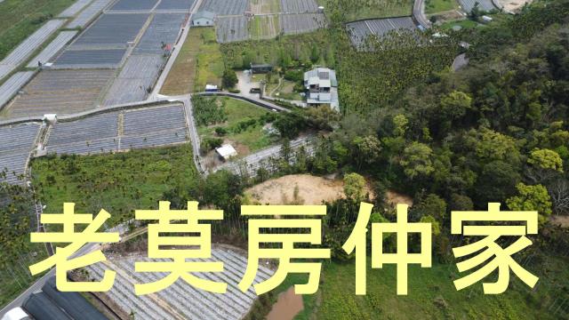 魚池農地-9