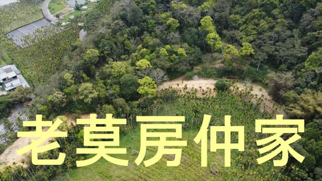 魚池農地-10