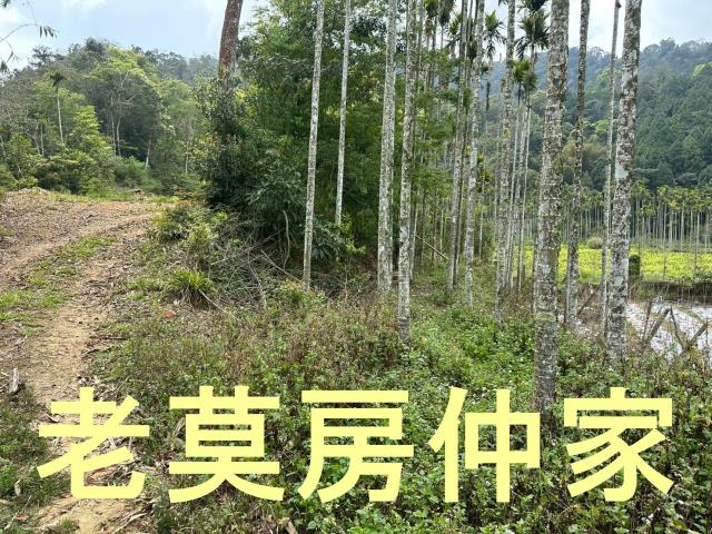 魚池農地-0