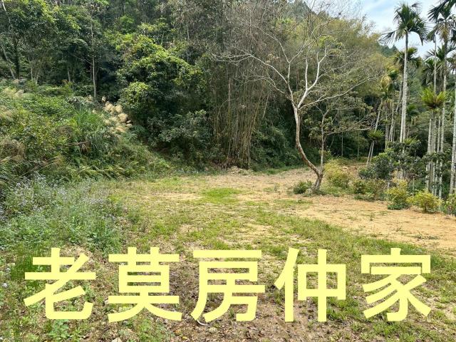 魚池農地-1