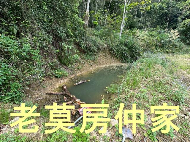魚池農地-2