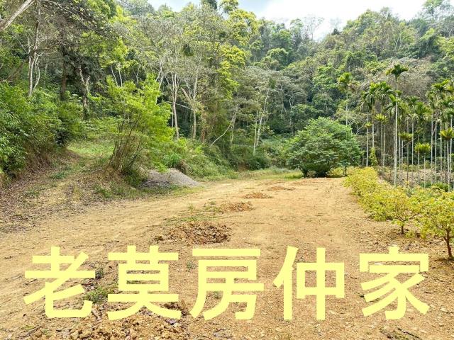 魚池農地-3