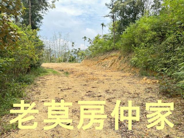 魚池農地-4