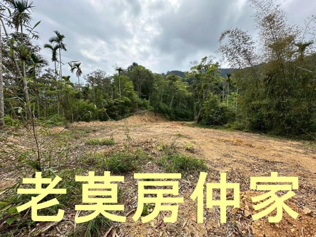 魚池農地-5