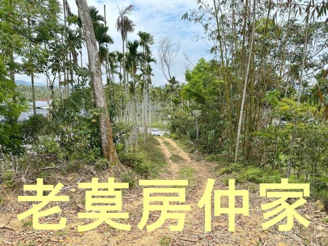 魚池農地-6