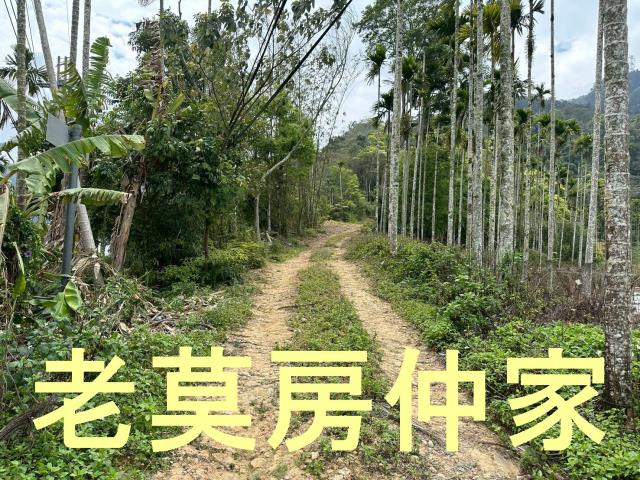 魚池農地-7