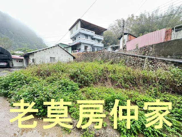 埔里建地-4