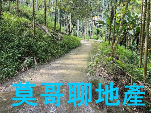 東勢林地-10