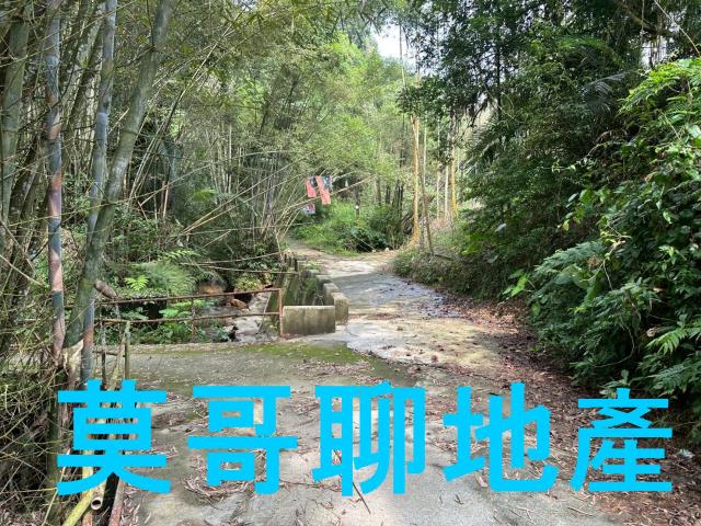 東勢林地-11
