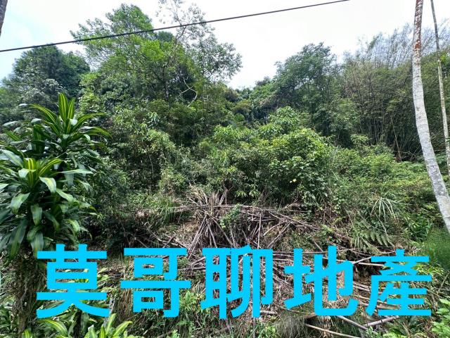 東勢林地-12