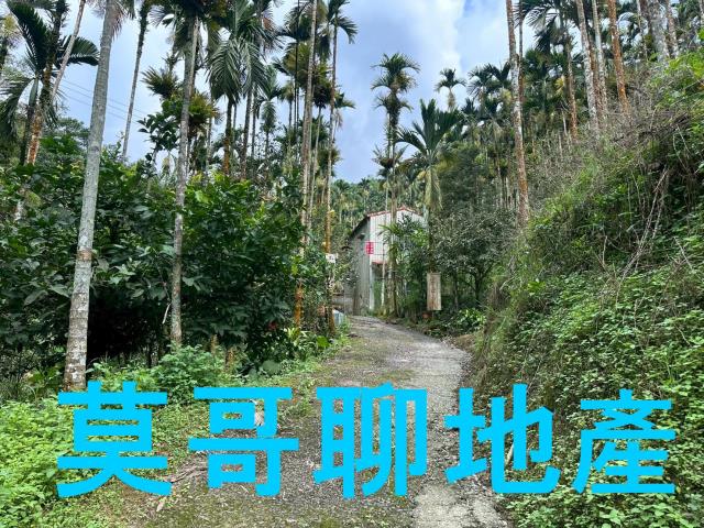 東勢林地-13