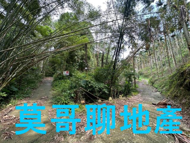東勢林地-14