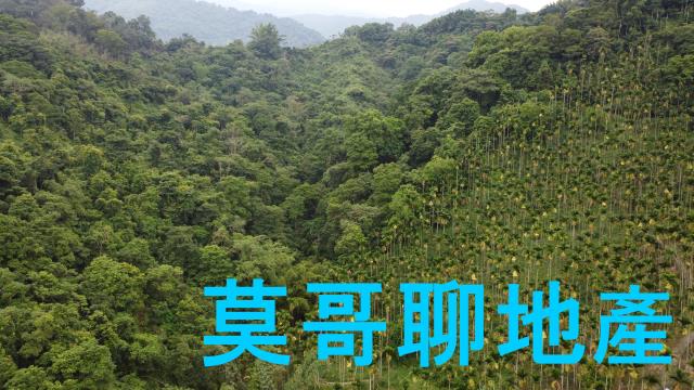 東勢林地-0