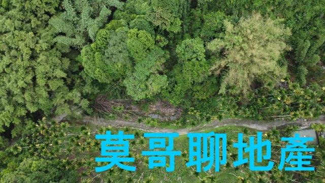 東勢林地-1