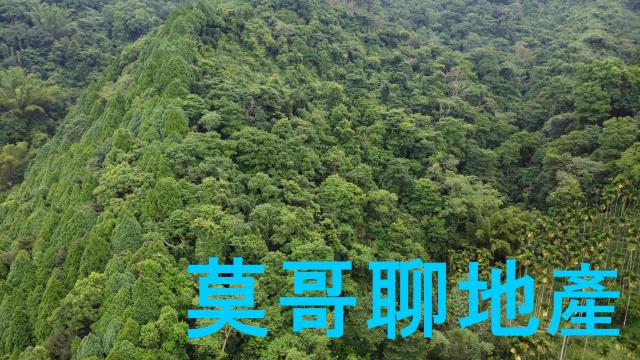 東勢林地-2
