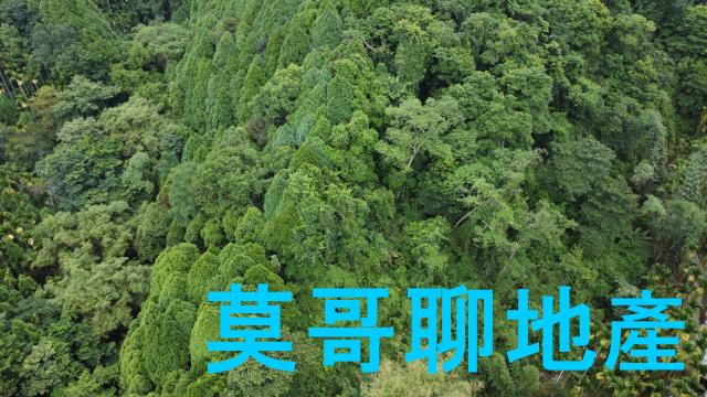 東勢林地-5