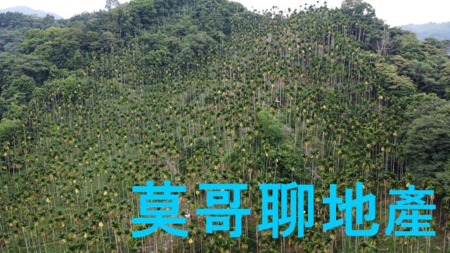 東勢林地-7