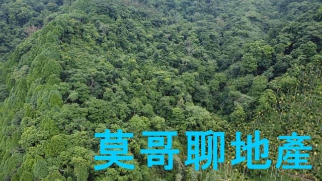東勢林地-8