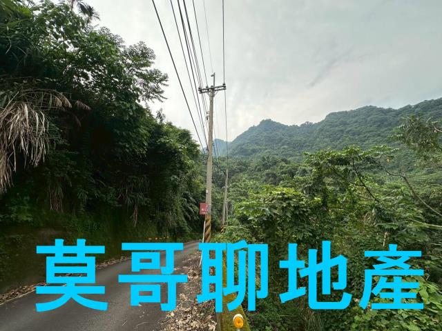 太平山坡地-11