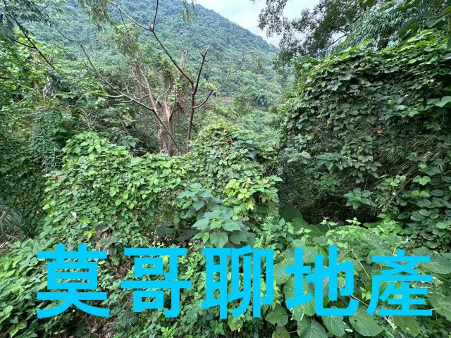 太平山坡地-12