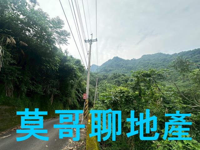 太平山坡地-13