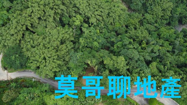 太平山坡地-1