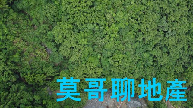 太平山坡地-3