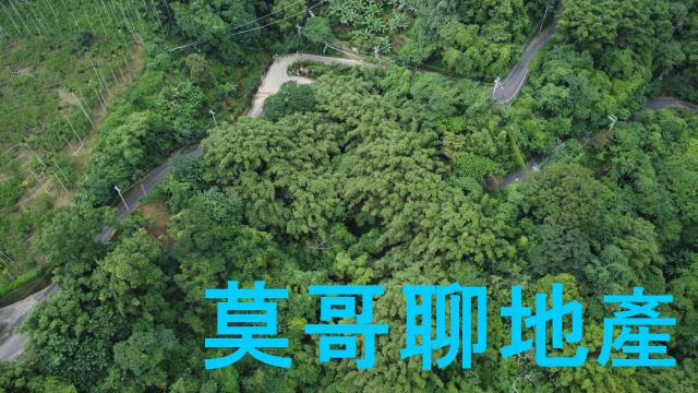 太平山坡地-5