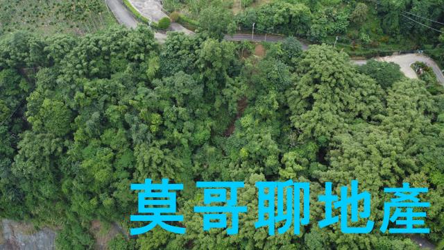 太平山坡地-6